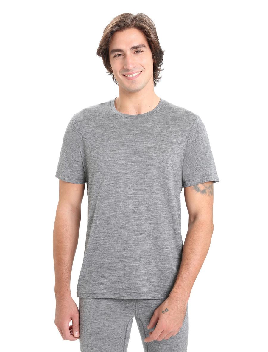 T Shirts Icebreaker Merino Tech Lite II Corta Sleeve Tee Homme Grise | FR 1168KORI